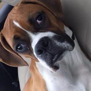 Meet your Posher, Traci